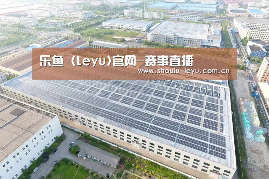 案例展示二