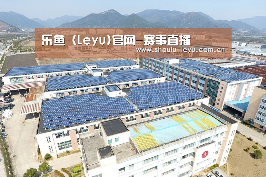 案例展示二
