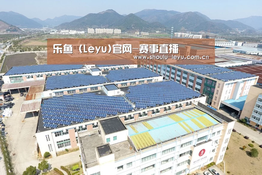 案例展示四