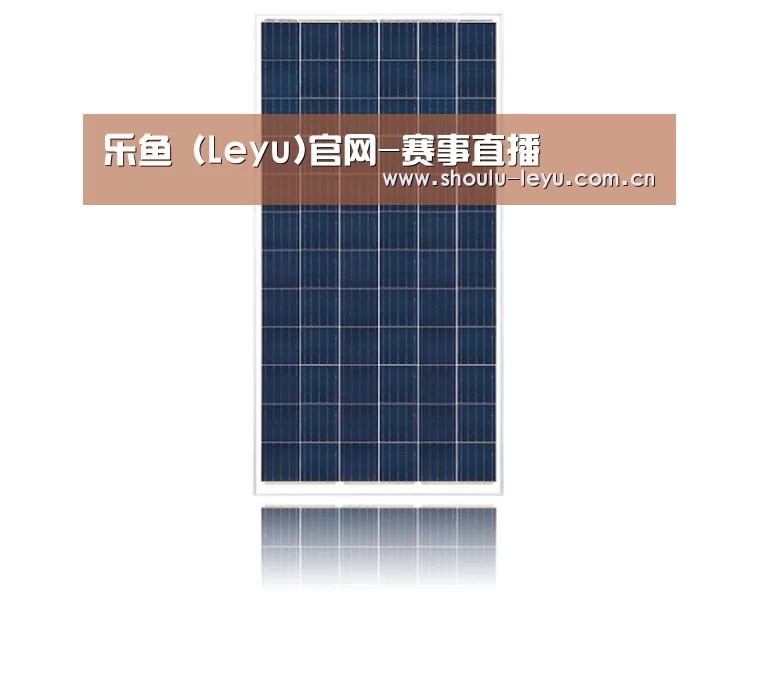 产品名称四