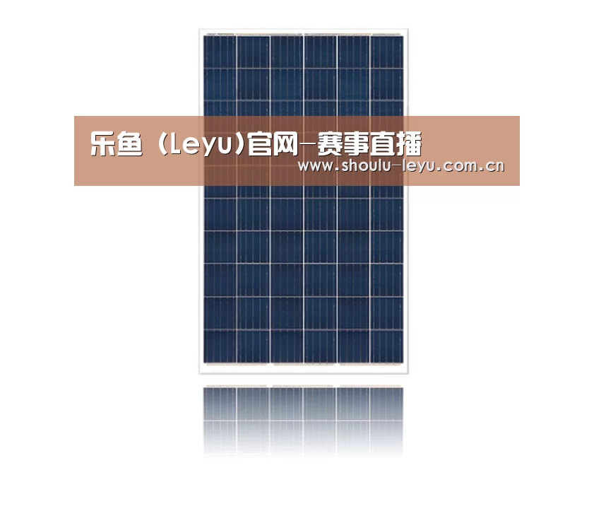 产品名称一