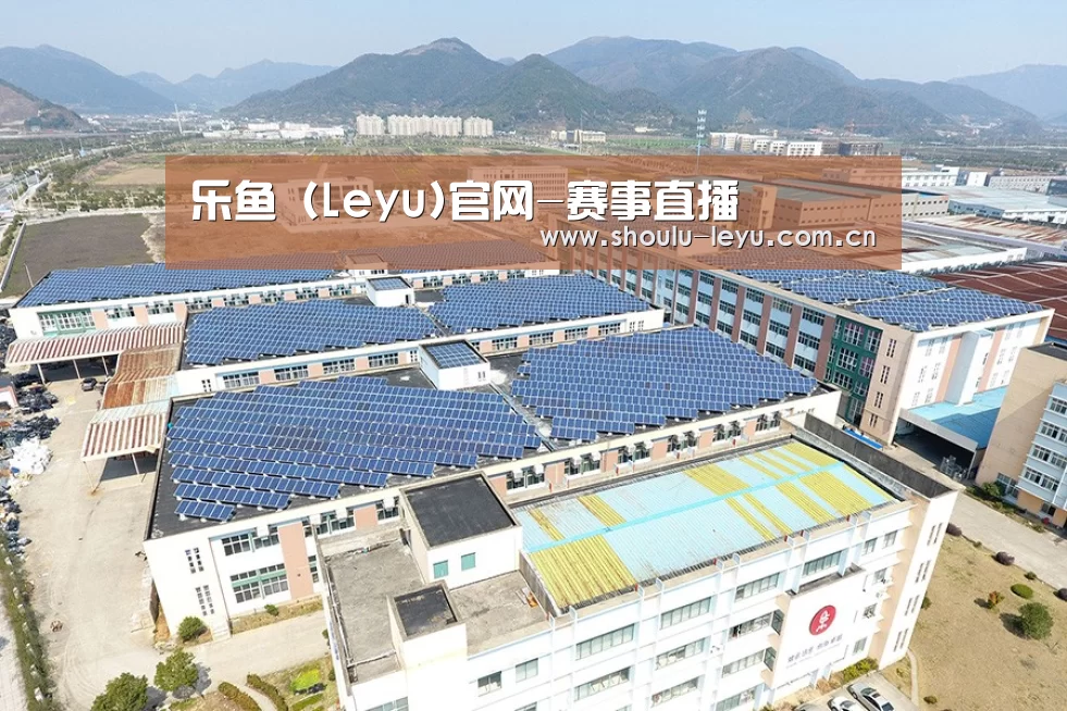 案例展示一