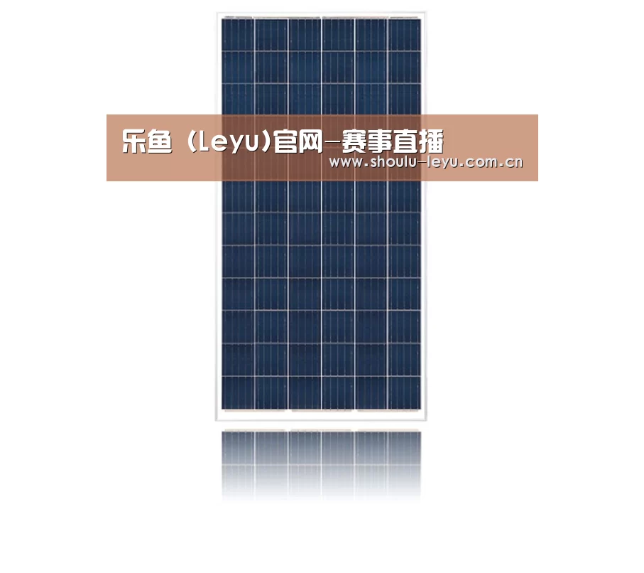 产品名称一
