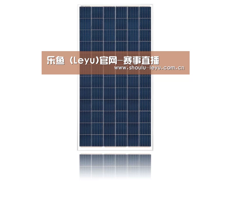 产品名称一