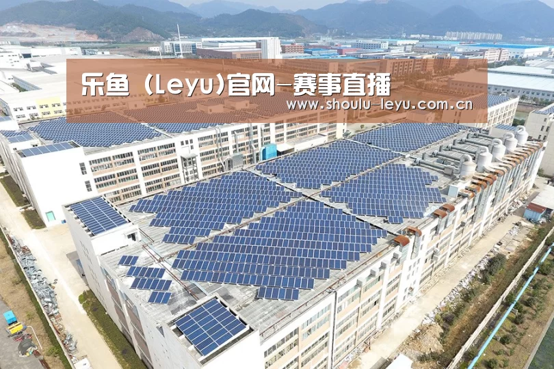 案例展示三