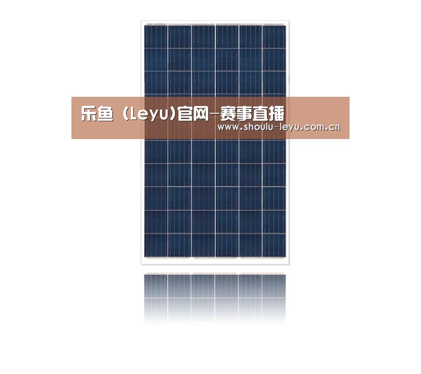 产品名称一