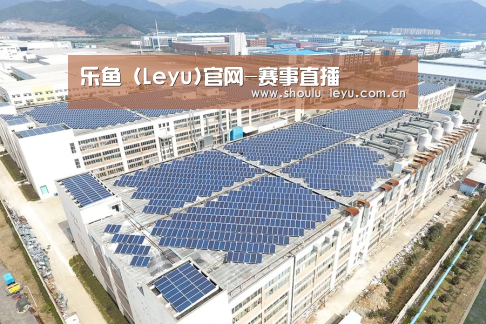 案例展示四