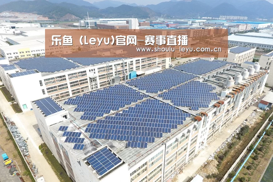 案例展示二