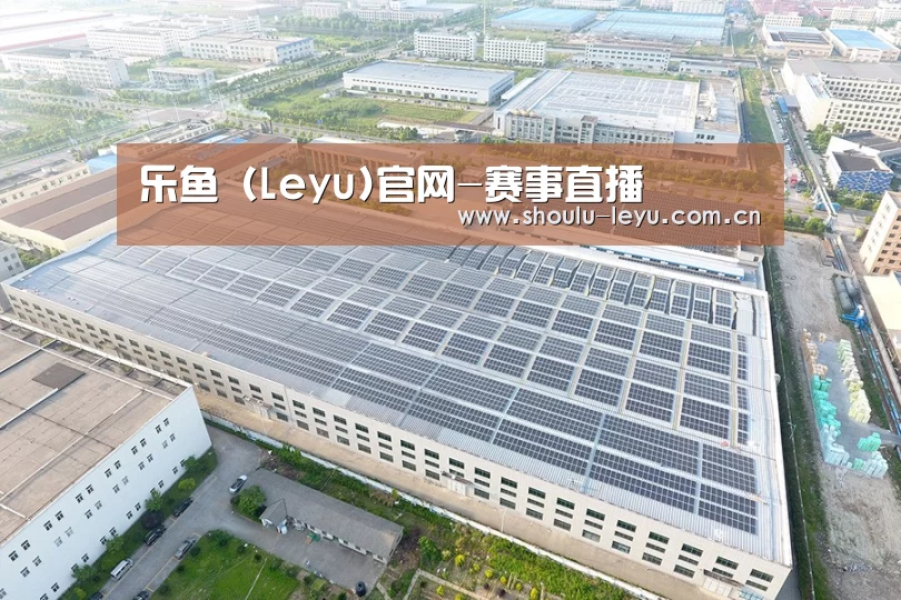 案例展示三