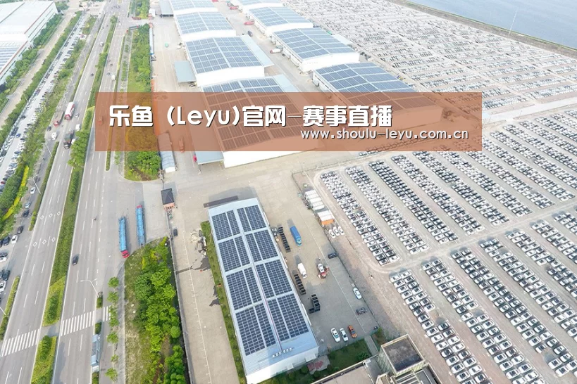 案例展示一