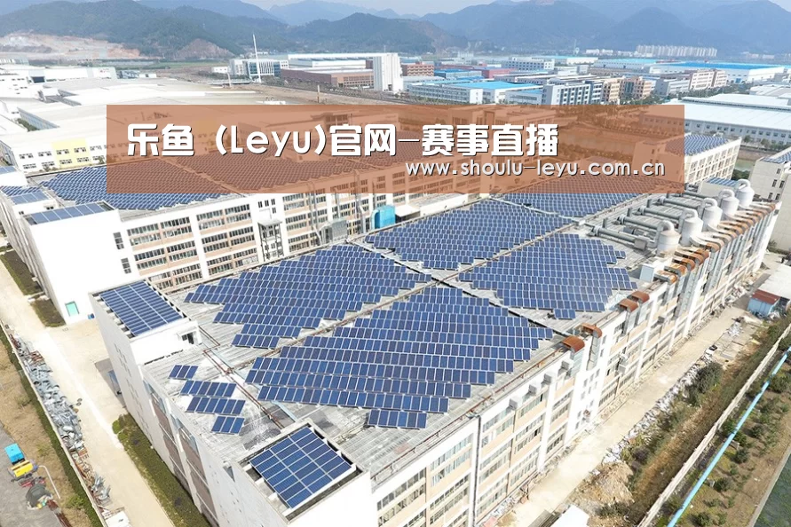 案例展示四