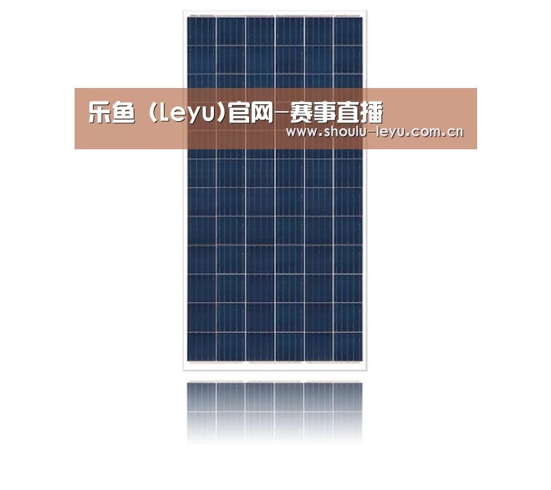 产品名称一