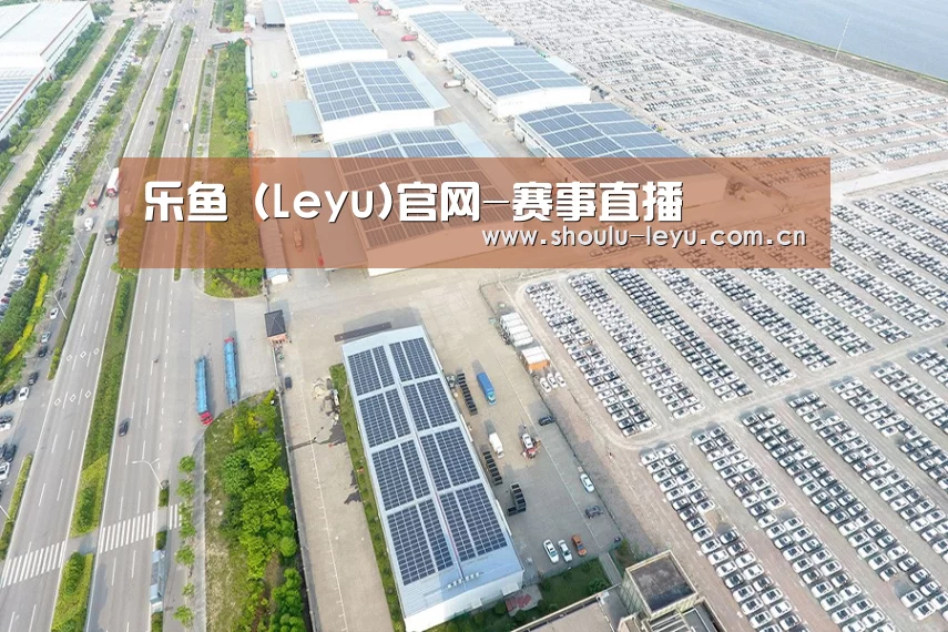 案例展示四