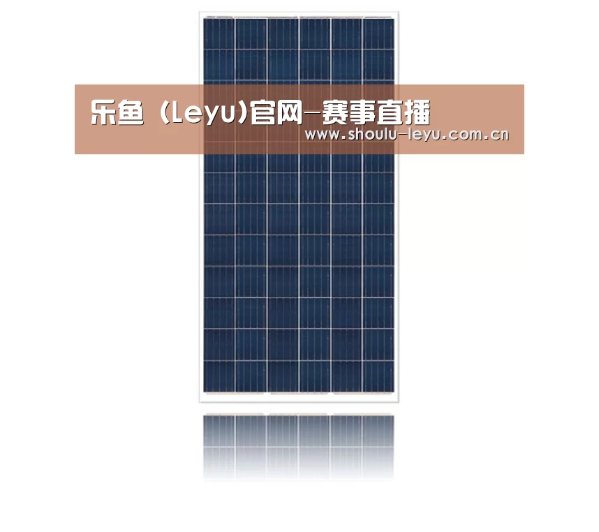 产品名称四