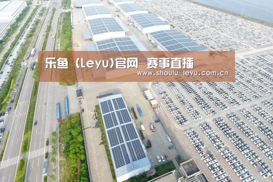 案例展示二