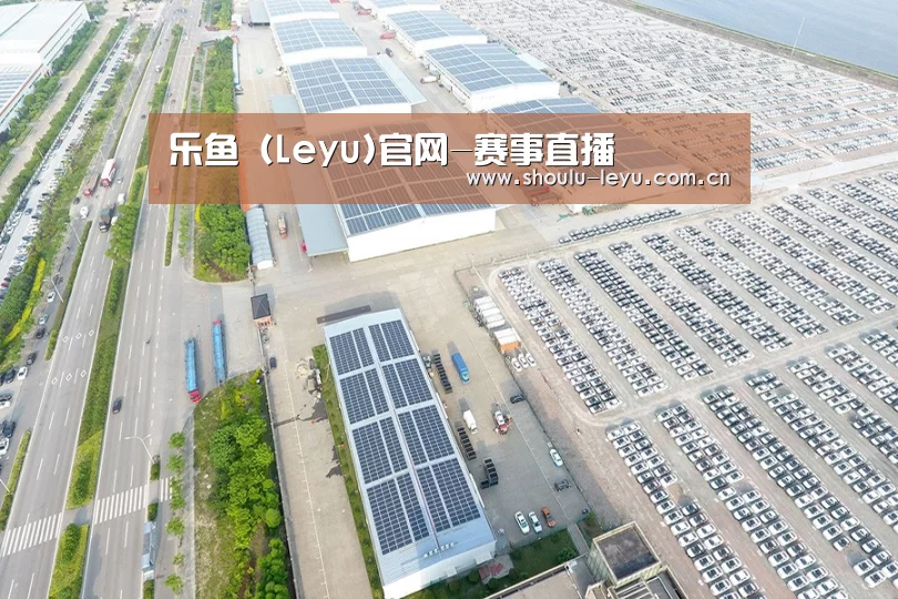 案例展示三