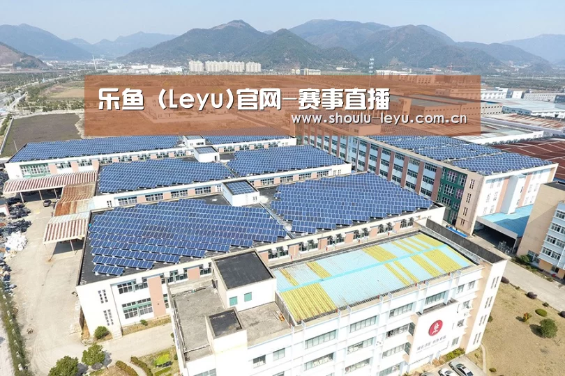 案例展示三