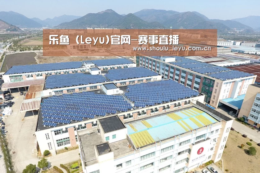 案例展示三