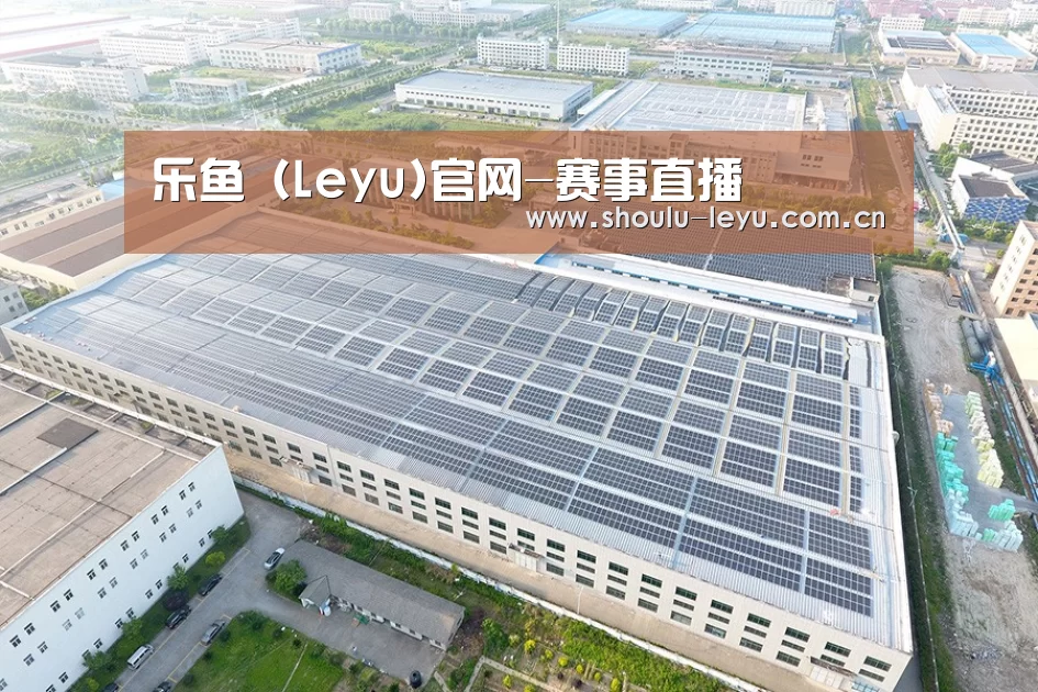 案例展示四