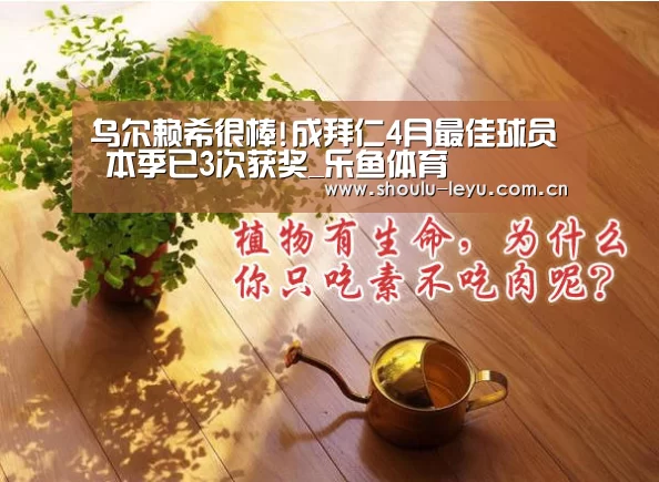 乐鱼app
