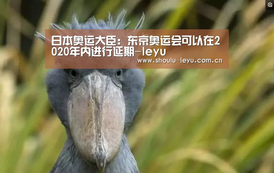 日本奥运大臣:东京奥运会可以在2020年内进行延期-leyu(图1) 日本奥运大臣:东京奥运会可以在2020年内进行延期-leyu(图1)