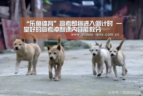 “乐鱼体育”高考即将进入倒计时 一堂好的高考冲刺课内容能救分(图2) 乐鱼官网
