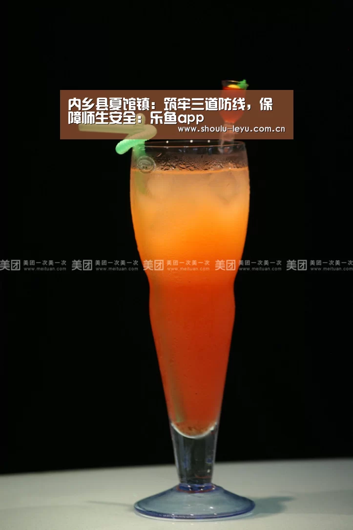 内乡县夏馆镇:筑牢三道防线,保障师生安全:乐鱼app(图1) 乐鱼app