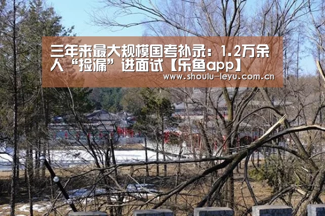 三年来最大规模国考补录:1.2万余人“捡漏”进面试【乐鱼app】(图1) 乐鱼app