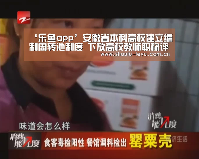 ‘乐鱼app’安徽省本科高校建立编制周转池制度 下放高校教师职称评审权(图1) 乐鱼体育