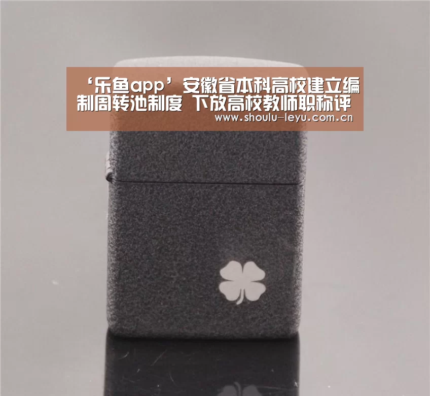 ‘乐鱼app’安徽省本科高校建立编制周转池制度 下放高校教师职称评审权(图3) ‘乐鱼app’安徽省本科高校建立编制周转池制度 下放高校教师职称评审权(图3)